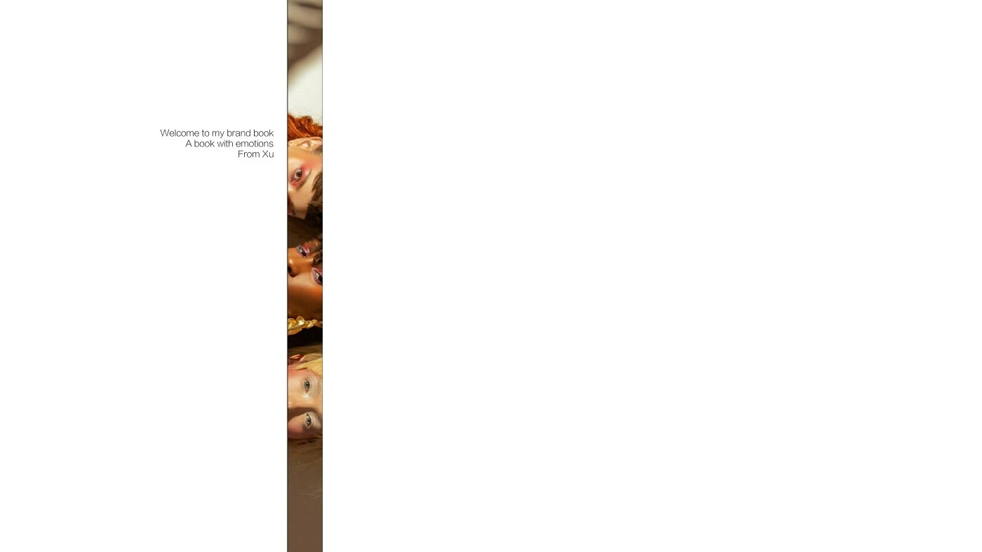 Miss Swan brand book, cover page