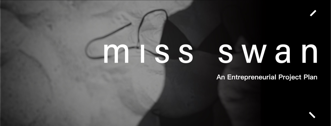Miss Swan deck, cover page